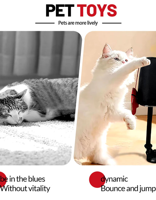 Load image into Gallery viewer, New Connects Punching Bag with Boxing Gloves Filled with Catnip Cat Boxing Toys
